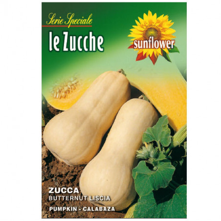 Sementi Zucca Butternut Liscia Sunflower