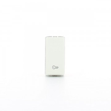 GW20511 Bouton gâche unipolaire Symbole clé 250V Na 10A 1 Module